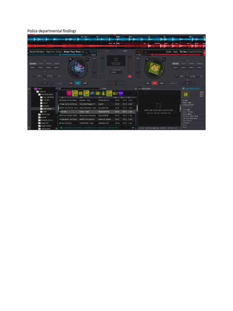 Police Departmental Findings | PDF