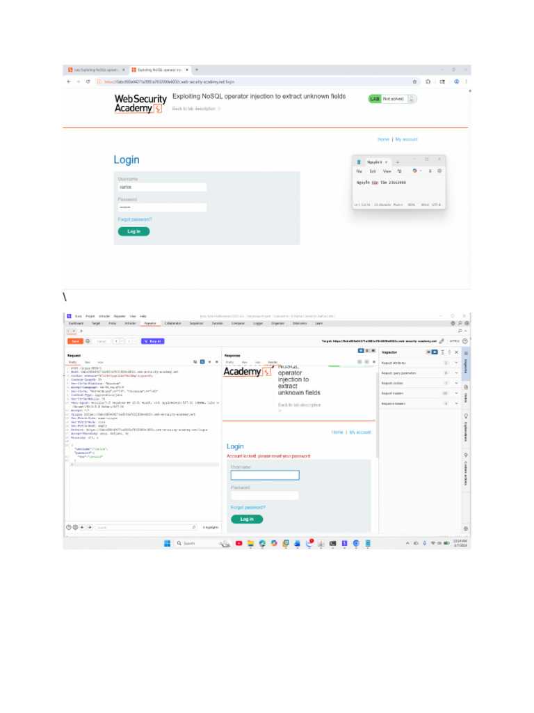 Password Reset | PDF