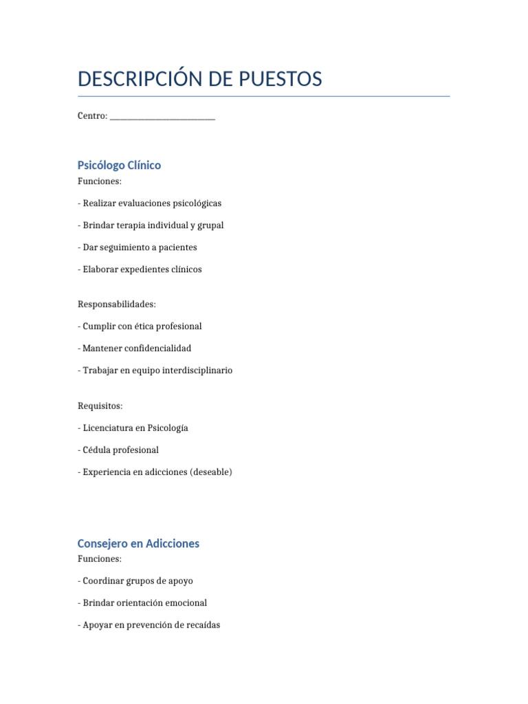 Descripcion de Puestos | PDF