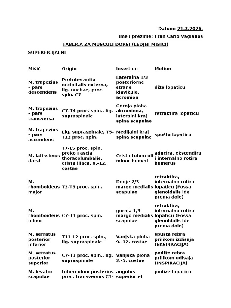 Tablica Za Ledjne Misice Medicina | PDF