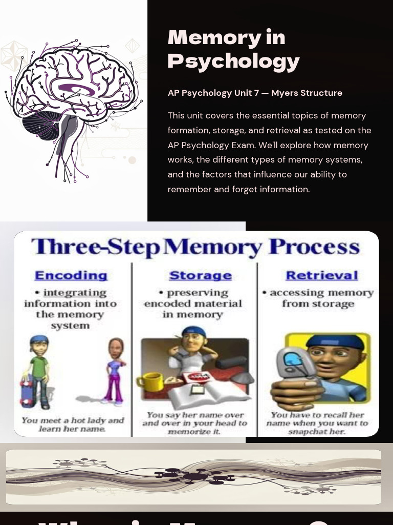 Memory in Psychology | PDF