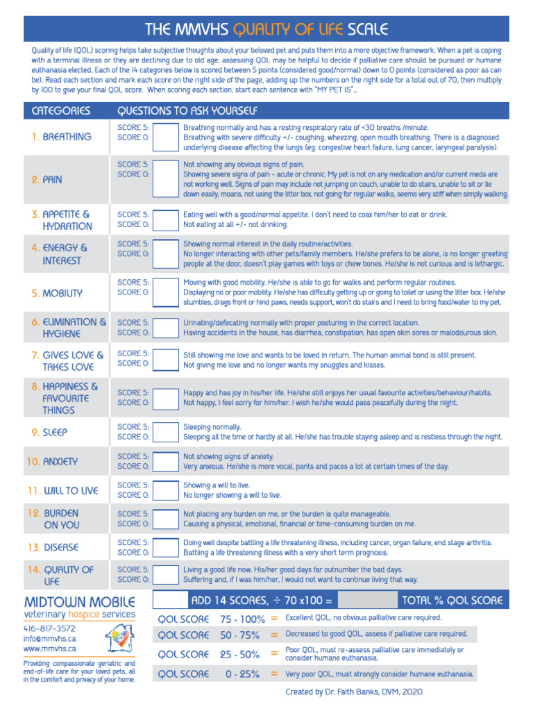 Mmvhs Qol Chart Form Interactive | PDF