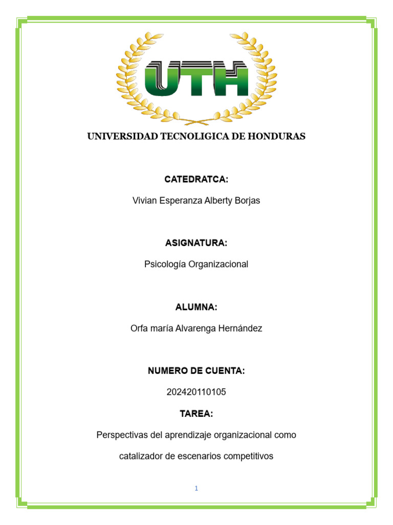 Analisis Perspectivas Del Aprendizaje Organizacional Como | PDF