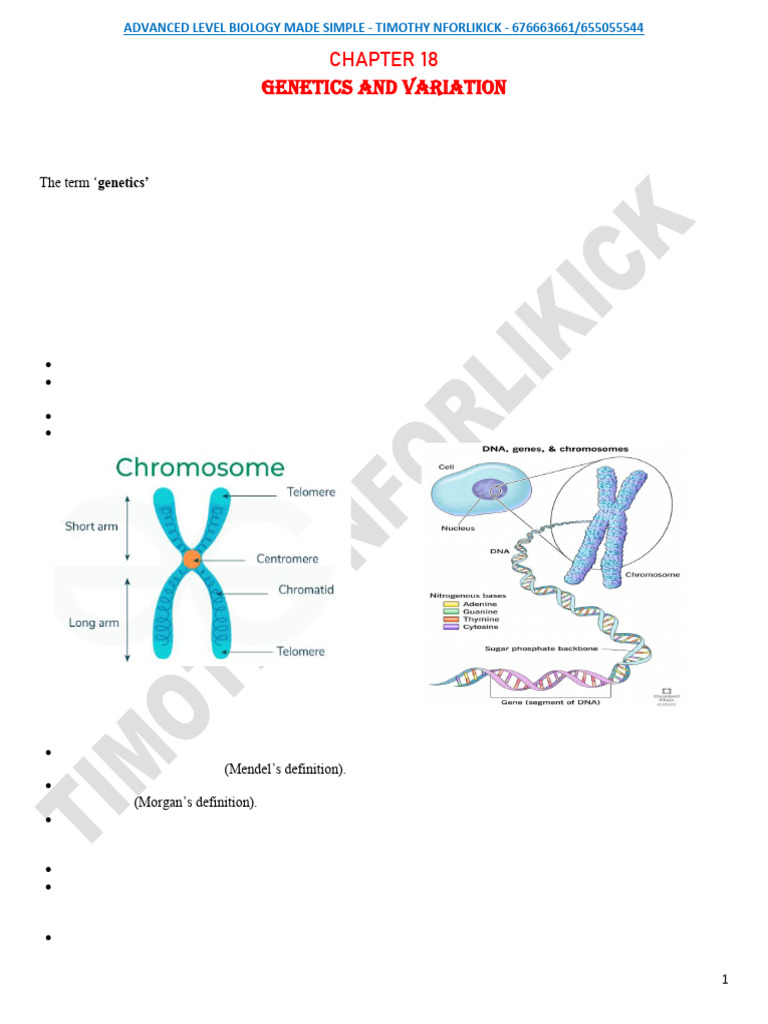 A Level Genetics 01-11-21 | PDF | Dominance (Genetics) | Allele