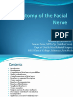 Anatomy of The Facial Nerve