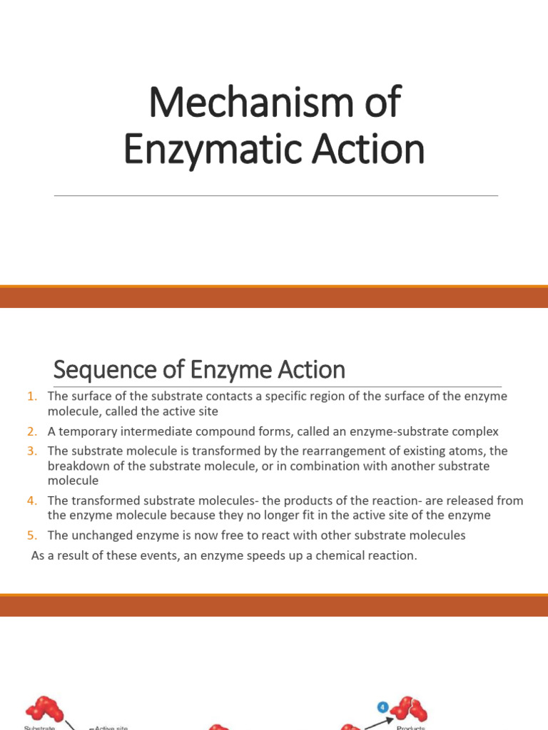 Mechanism of Enzymatic Action | PDF | Enzyme | Enzyme Inhibitor