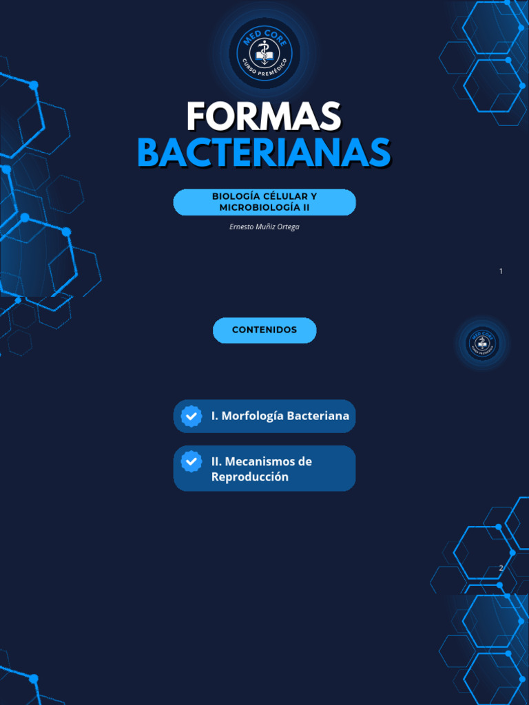 Bacterias | PDF | Las bacterias | Bacterias Gram Positivas