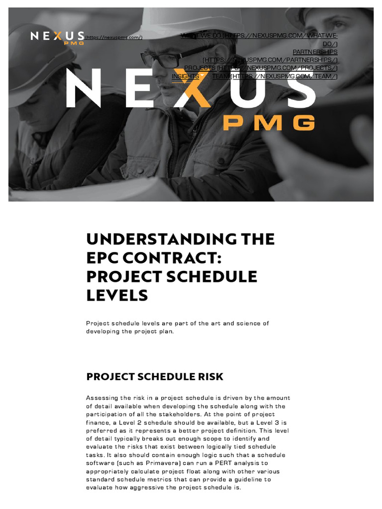 Understanding Project Schedule Levels - Nexus PMG | PDF