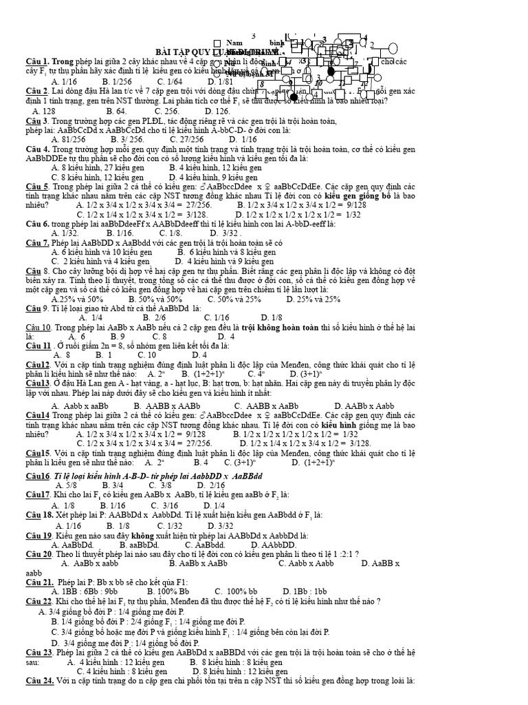 Mở BT QLDT - LKG, HVG 2026 | PDF