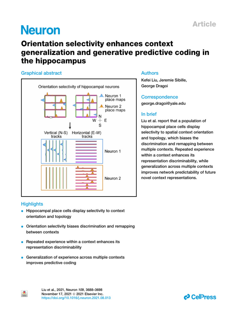 Orientation Selectivity Enhances Context Generaliz | PDF | Hippocampus ...