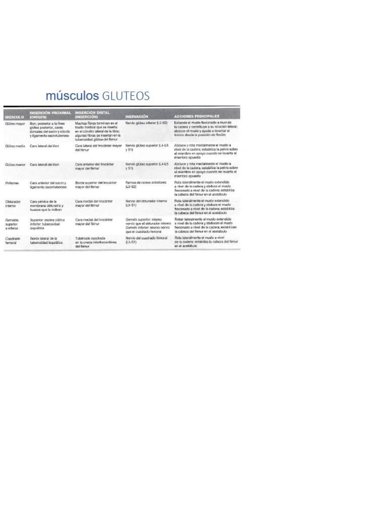 Imafe | PDF