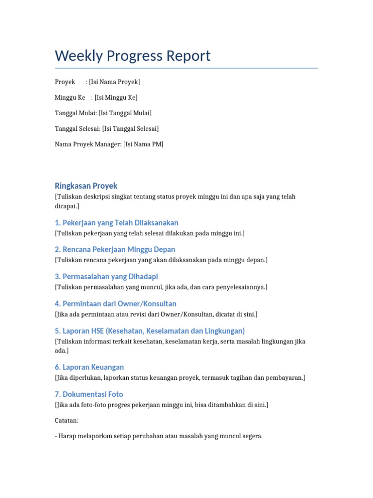 Weekly Progress Report Template | PDF