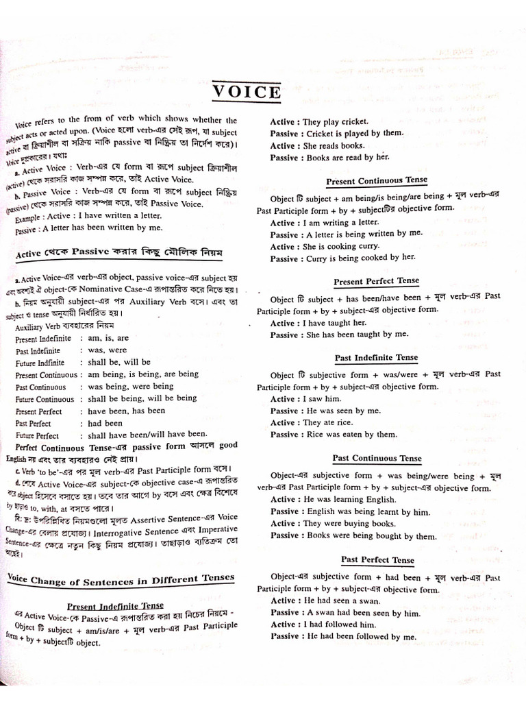 Voice | PDF