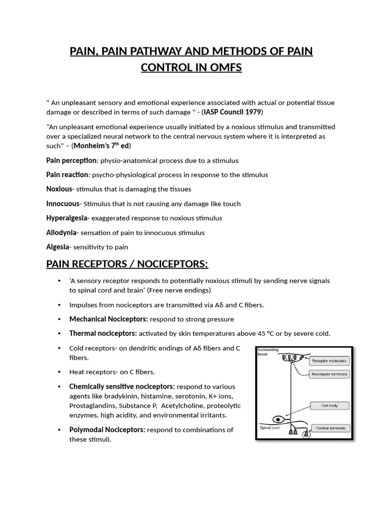 Pain and Pain Pathway | PDF | Pain | Stimulus (Physiology)
