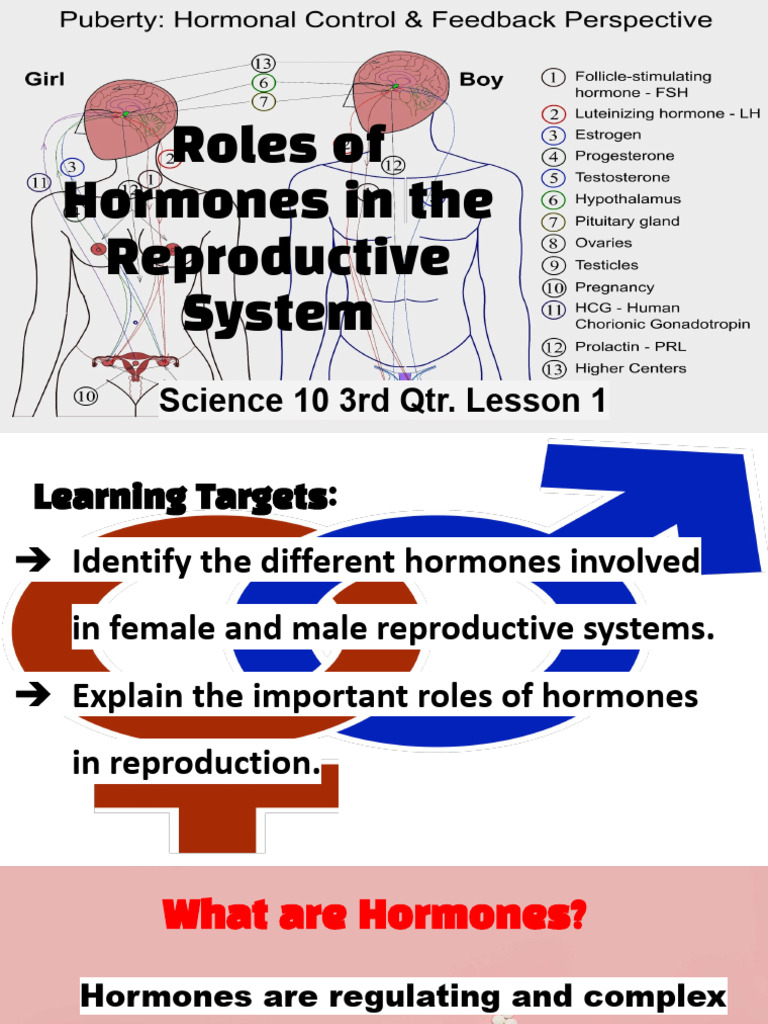 Roles of Hormones in The Reproductive System Biology 10 Lesson 3.1 SY ...