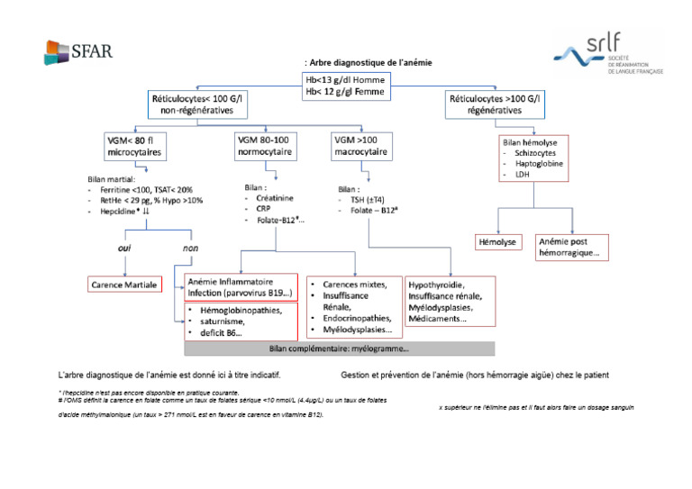 arbre-diagnostique-rfe-an-mie-2019-pdf