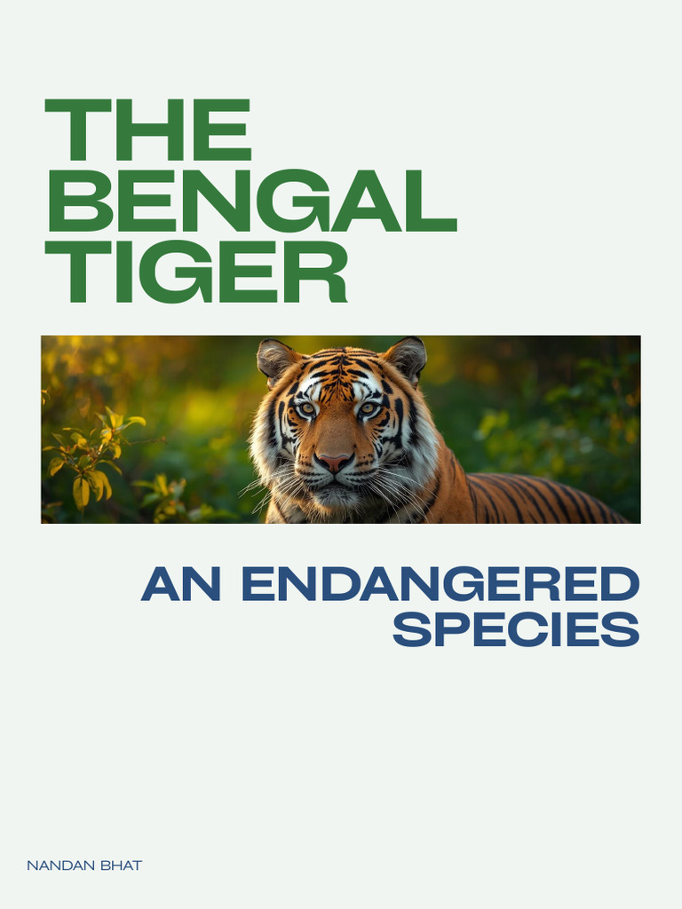 Report - The Bengal Tiger | PDF | Tiger | Endangered Species