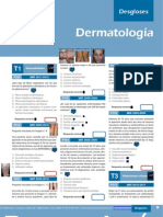 Desgloses Dermatolgia