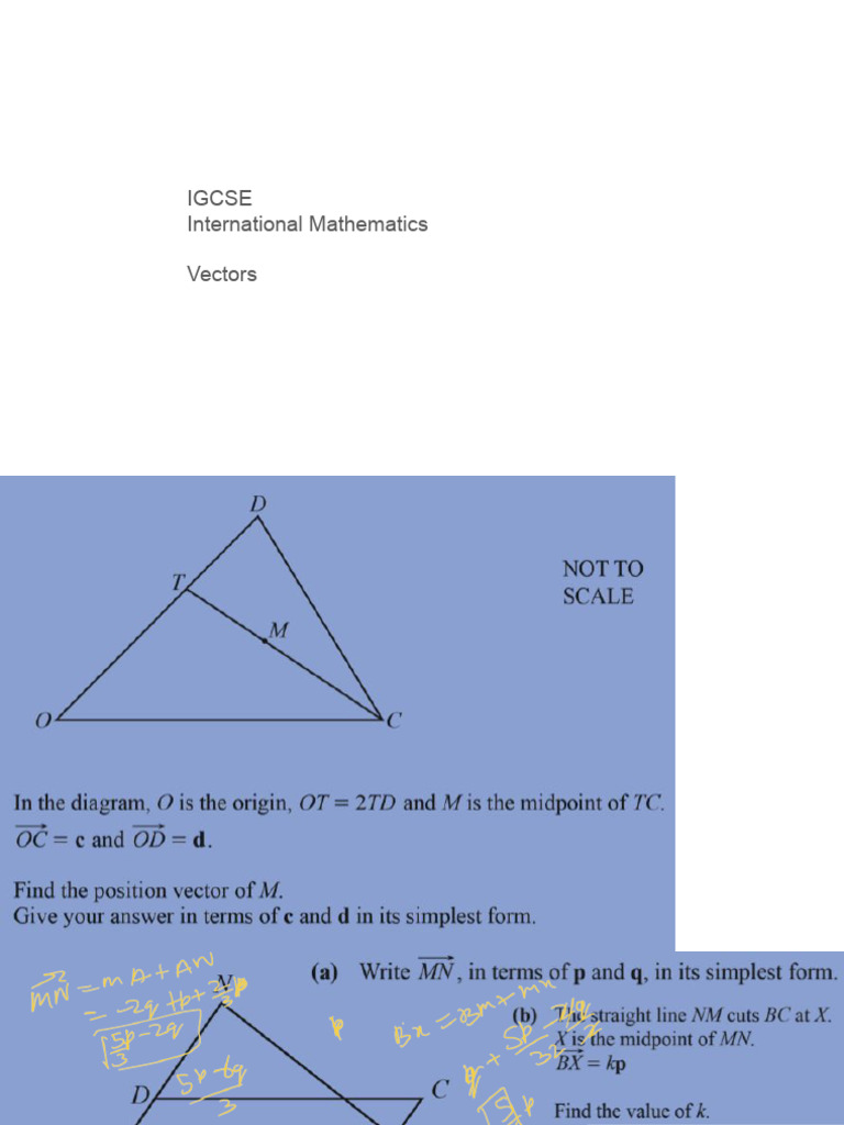 IGCSE Vector Worksheet | PDF