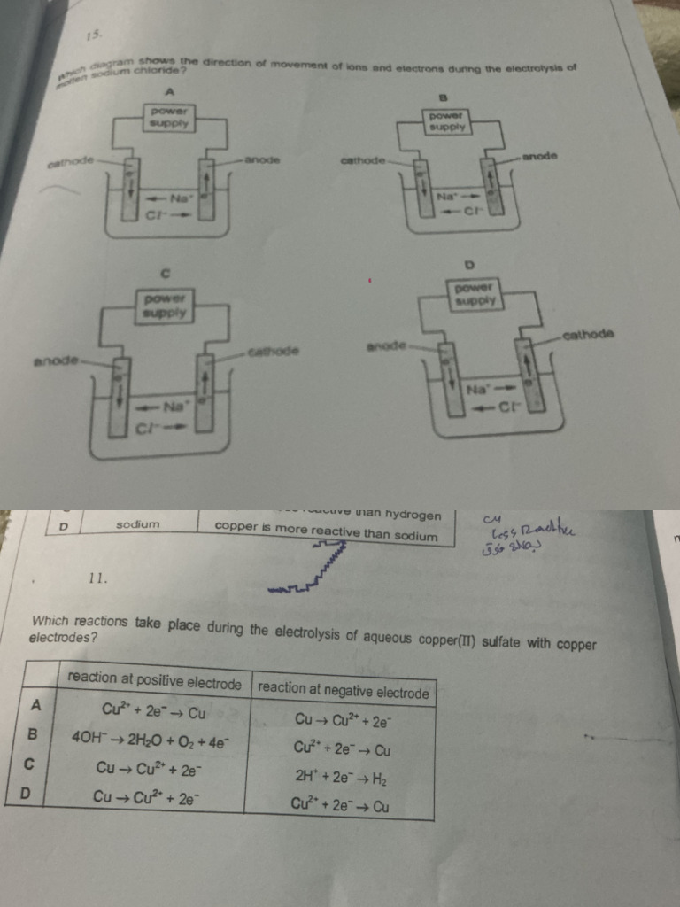 Work Sheet | PDF