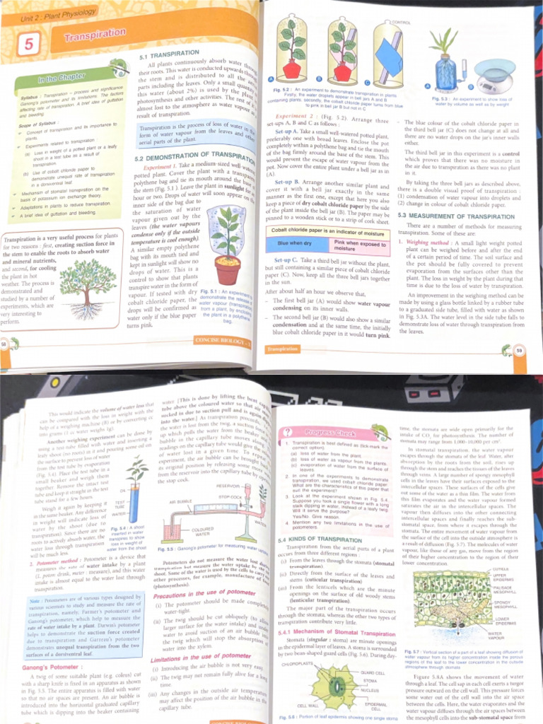 Scanned Document 12 | PDF