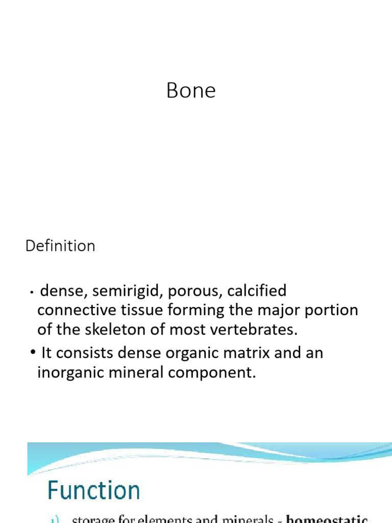 Bone | PDF | Bone | Osteoblast