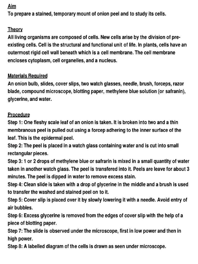 Biology Experiment 01 | PDF | Cell (Biology) | Cell Nucleus