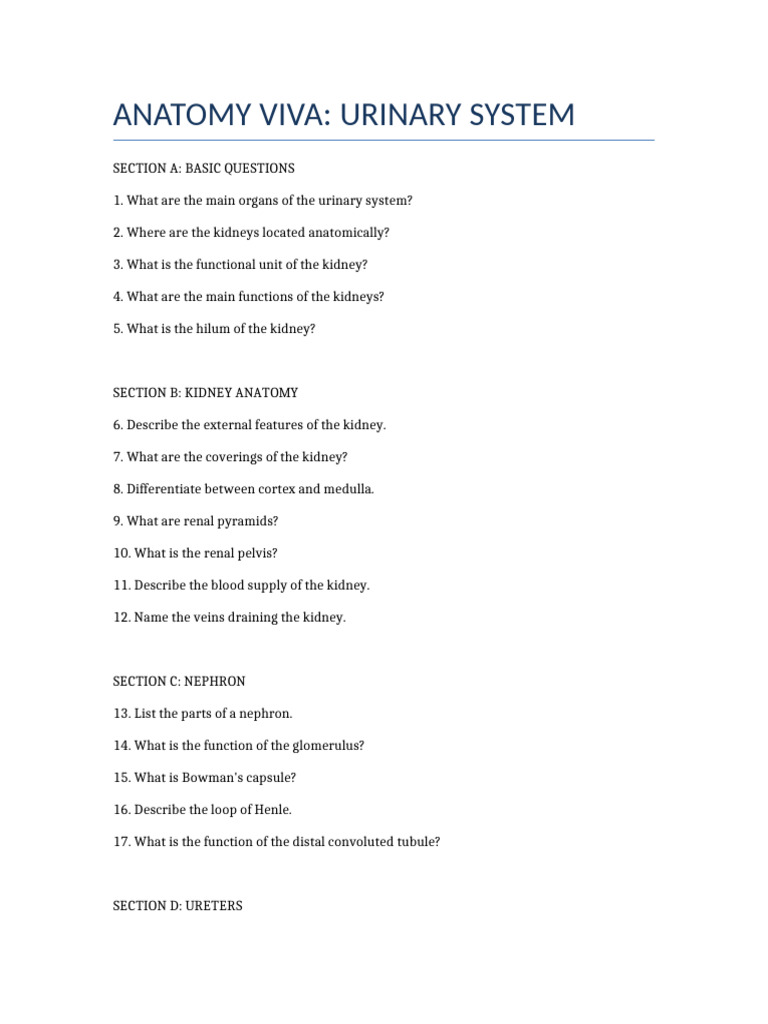 Anatomy Viva Urinary System-1 | PDF | Endocrine System | Kidney