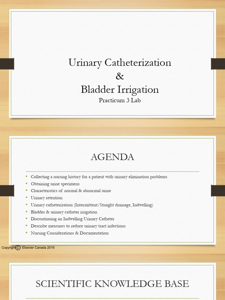 Urinary Catheterization Student | PDF | Urinary Incontinence | Catheter