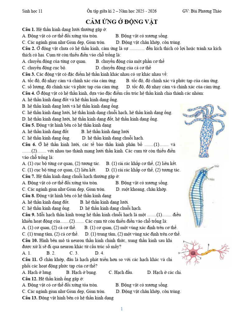 On Tap Giua HK2 Sinh 11 - HS | PDF