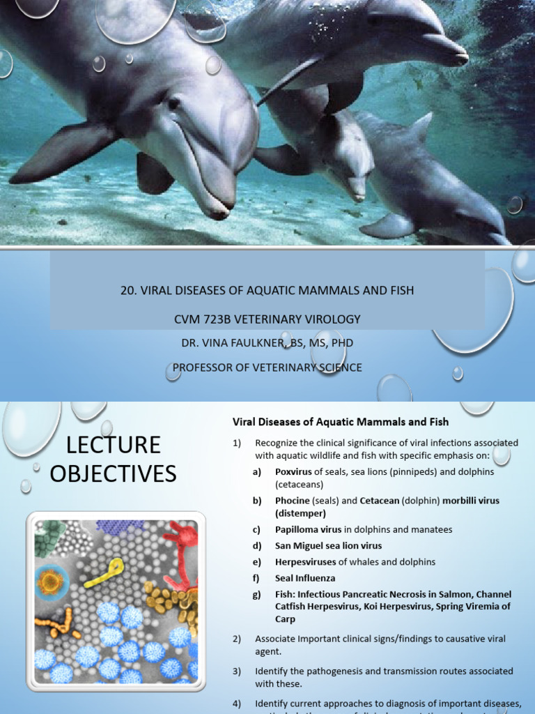 20 Viral Diseases of Aquatic Mammals and Fish | PDF | Influenza | Virus