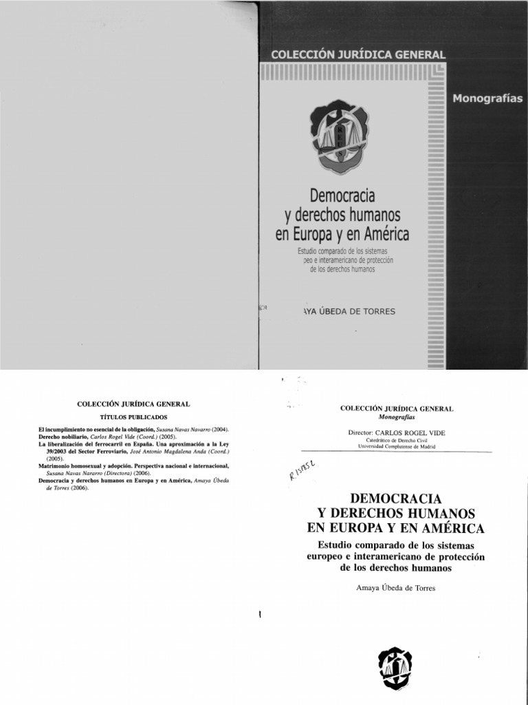 Democracia y Derechos Humanos en Europa y en América | PDF | Democracia ...