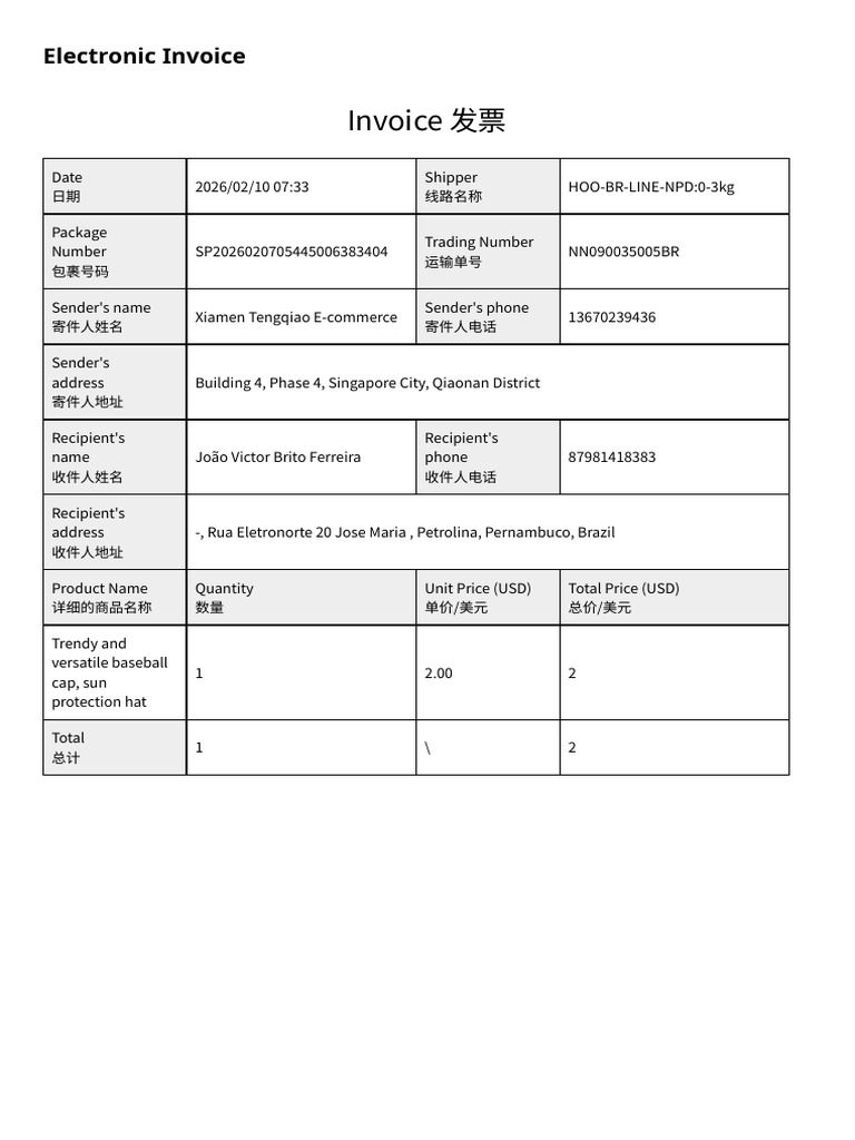 SP2026020705445006383404 Invoice 1770746965504 | PDF