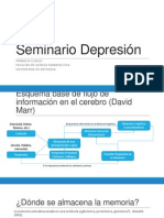 Seminario Depresión