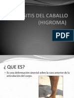 Bursitis Del Caballo (Higroma)