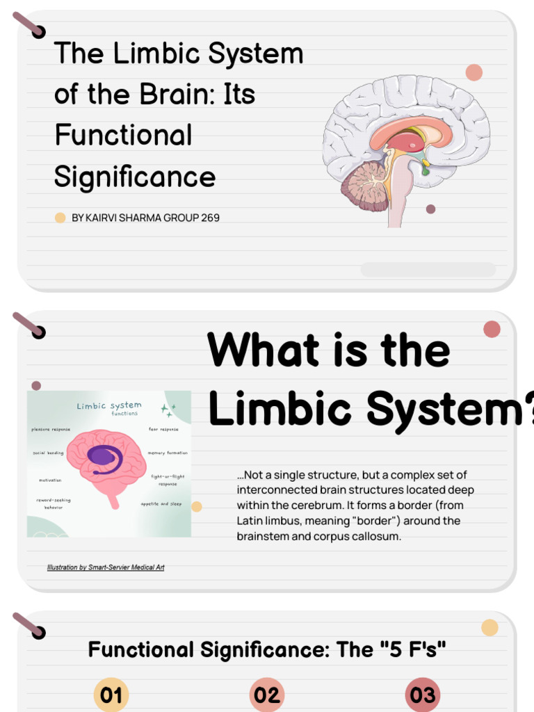 The Limbic System by Kairvi | PDF | Limbic System | Amygdala