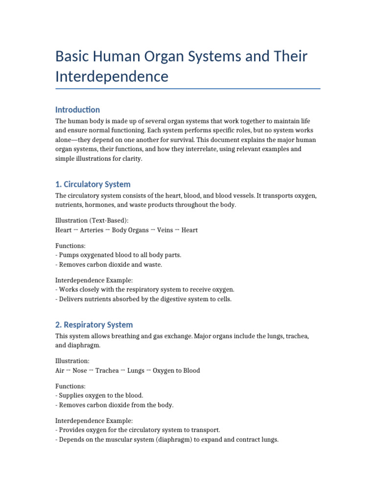 Human Organ Systems and Interdependence-4 Group 17 20 | PDF | Human ...