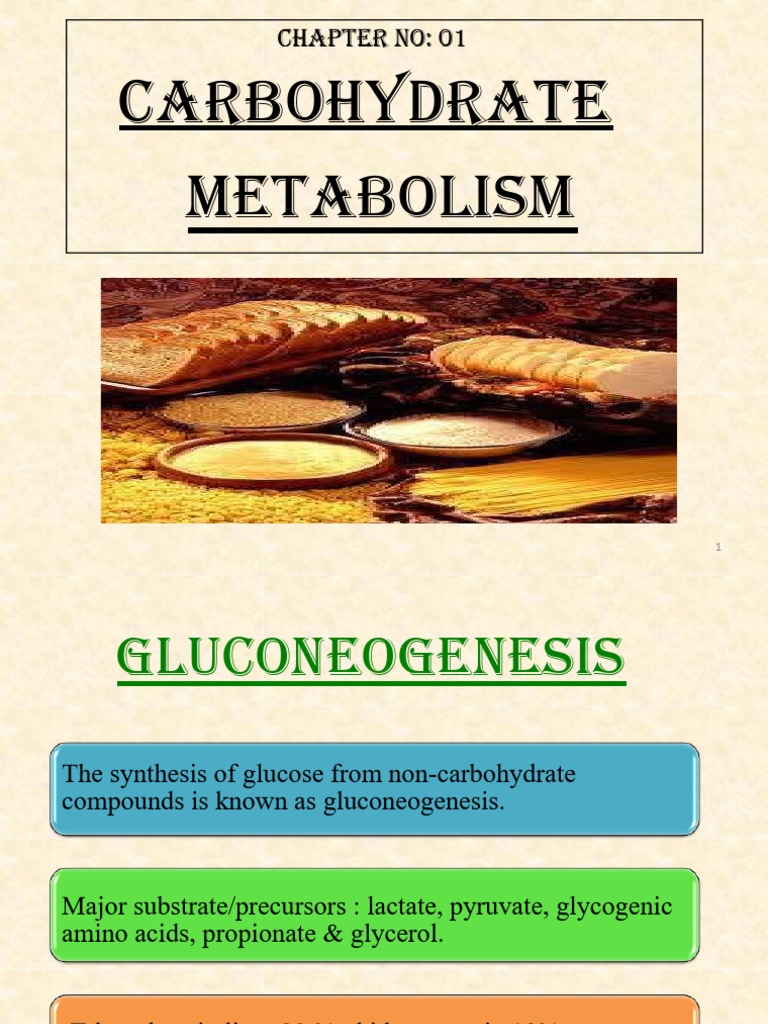 Carb 2, 2nd Sem | PDF | Metabolism | Biomolecules
