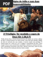 Os 7 Privilégios de Adão e suas duas Responsabilidades(Gn 2:7-10;2:19-25)