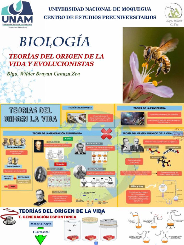 Teorías Del Origen de La Vida y Evolución | PDF