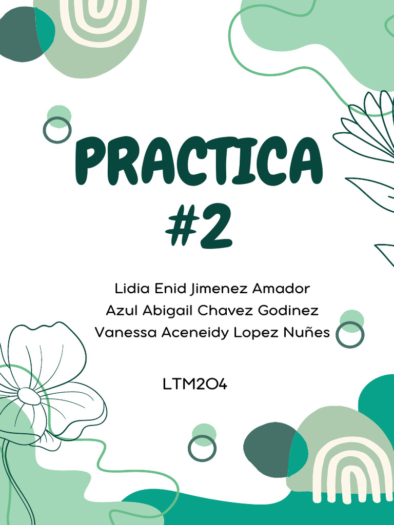 Practica 2 | PDF | Información | Informática