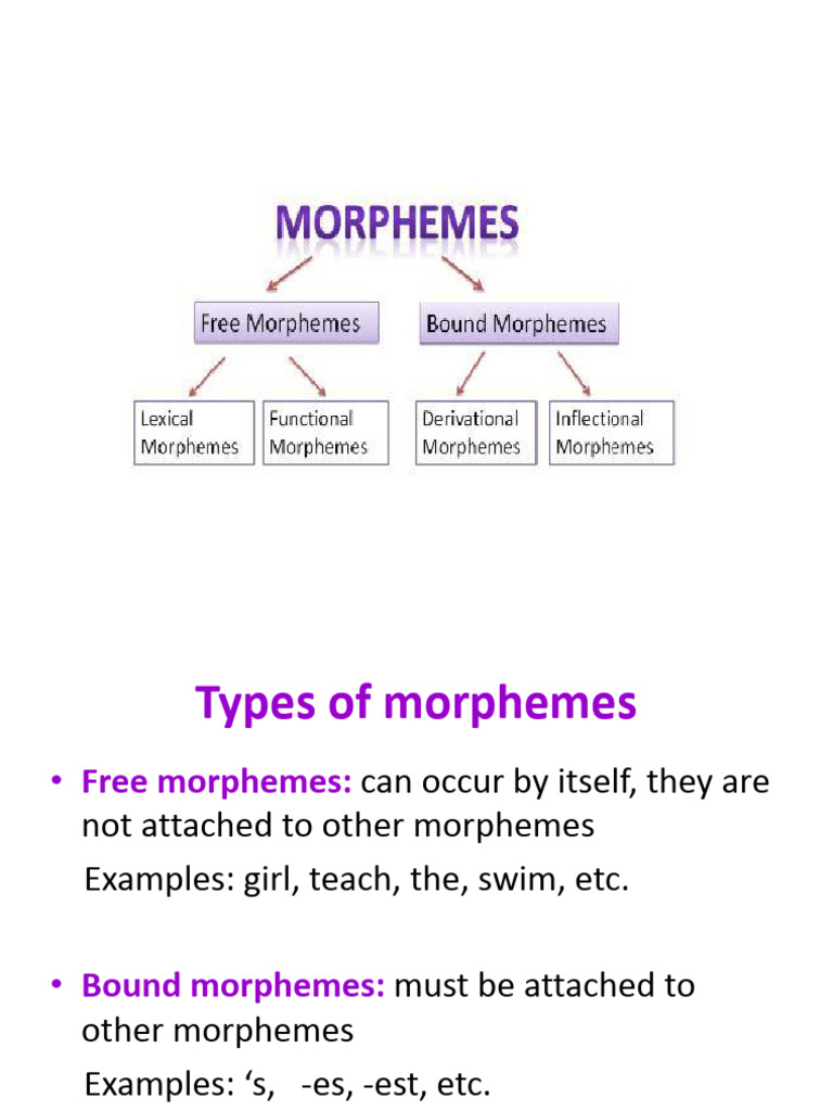 ADA 3 PPT Types of Morphemes | PDF