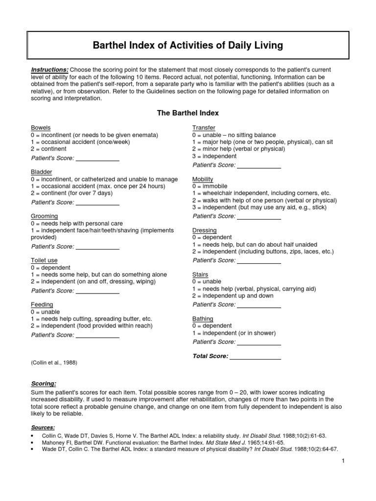 barthel-index-0-20-pdf