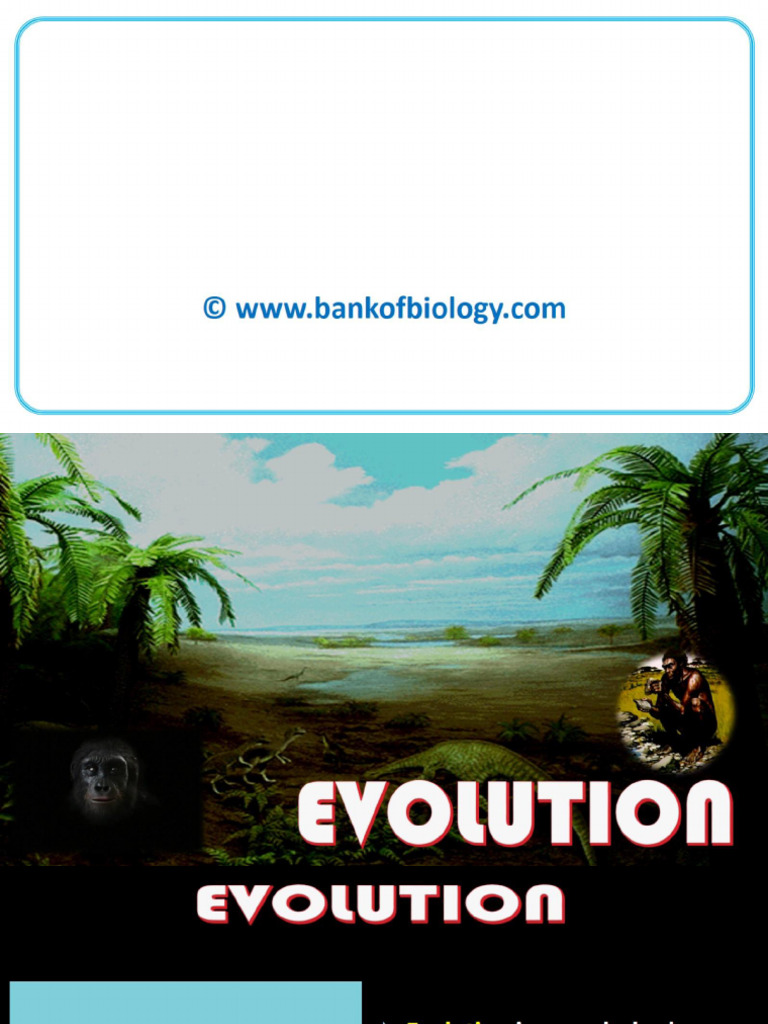 Evolution Part 1 One Slot Best Notes | PDF