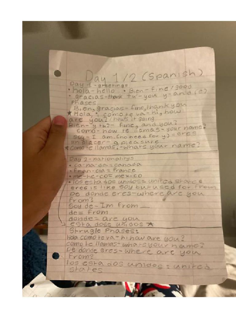 Spanish Notes Organized | PDF