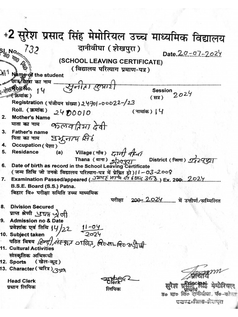 Document 17 | PDF