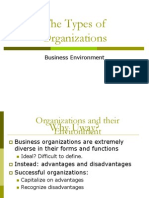 The Types of Organizations: Business Environment