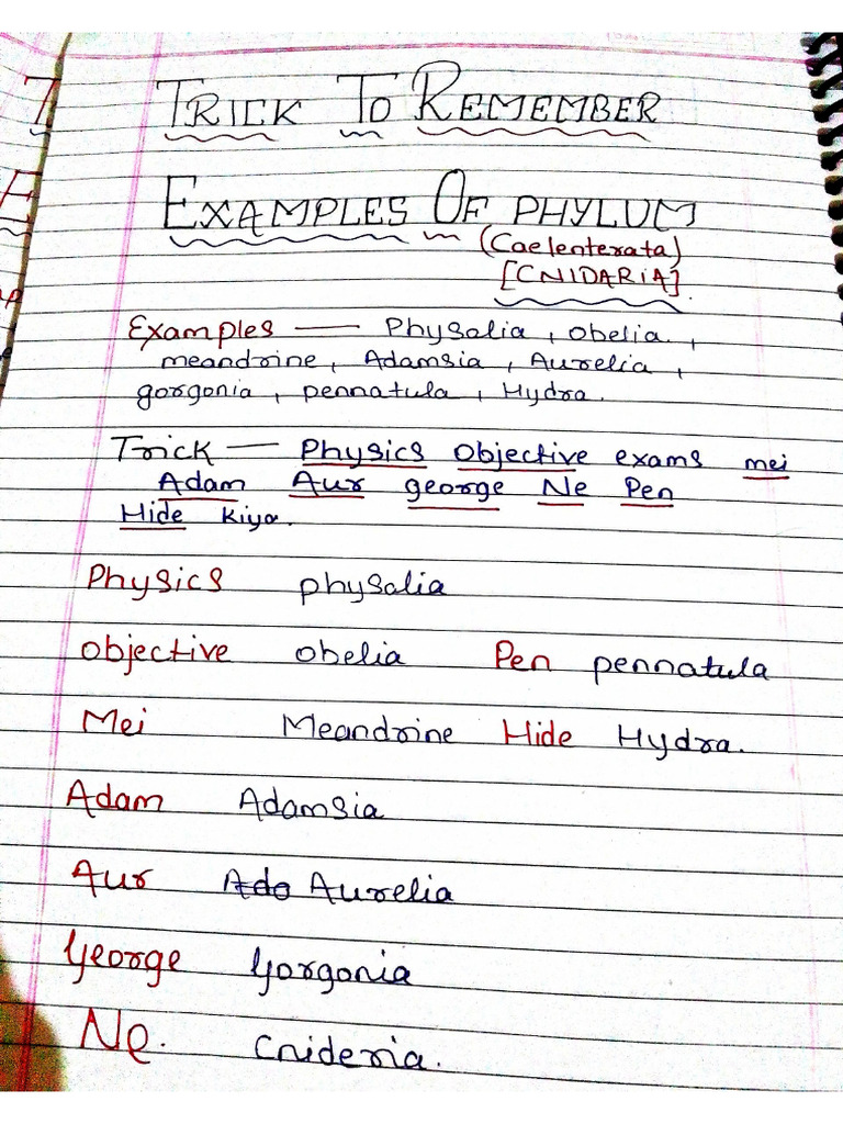 Tricks To Remember Examples of Animal Kingdom | PDF