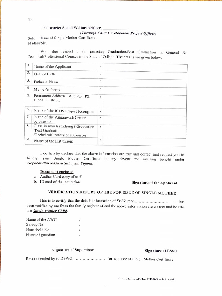 Single Mother Application | PDF