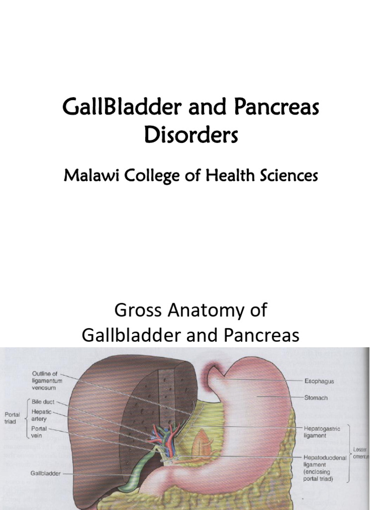 DCM - Gall Bladder and Pancreatic Disorders | PDF | Gallbladder ...
